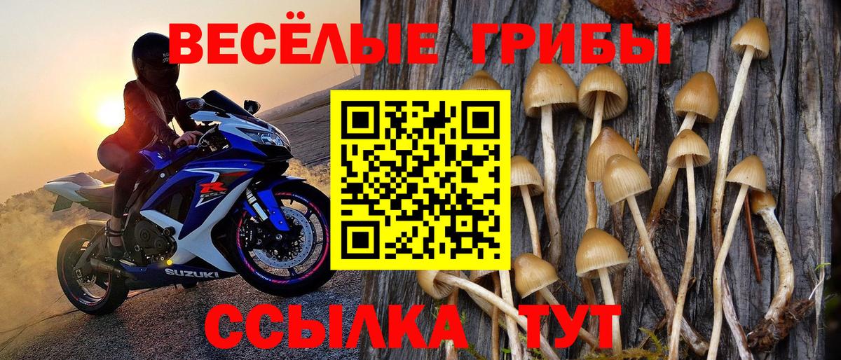 Псилоцибиновые грибы ЛСД Фурманов