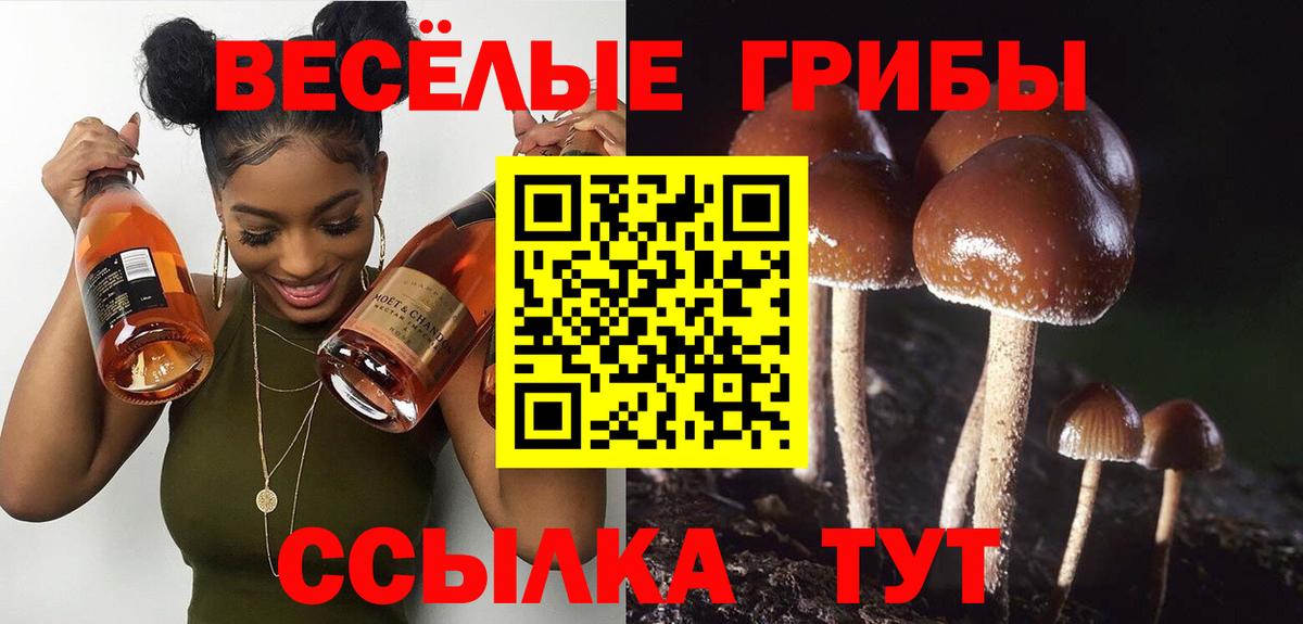 Фурманов  Псилоцибиновые грибы GOLDEN TEACHER  Вход с VPN 
